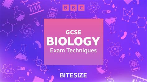 bitesize gcse|bitesize gcse test.